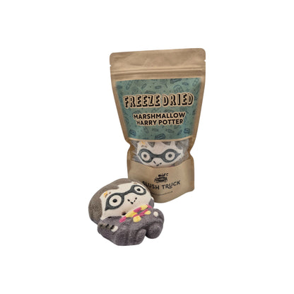 Freeze Dried Harry Potter Marshmallow